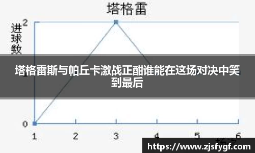 黑白体育直播在线观看篮球
