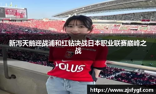 南宫体育中国